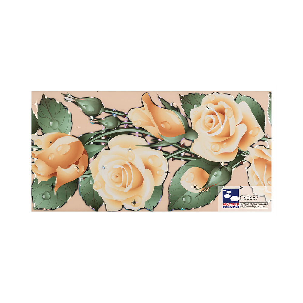 Comerț cu ridicata 2021 nou design pvc imprimare color tavan bronzare folie compozit pvc film CS0857